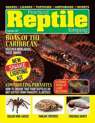 David Alderton - Practical Reptile Keeping - September 2021, Häftad