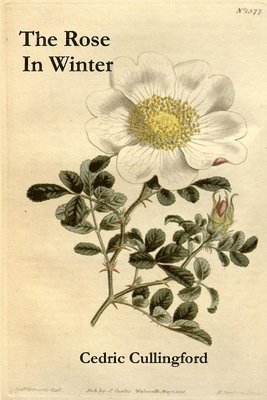 Cedric Cullingford - Rose in Winter, Häftad