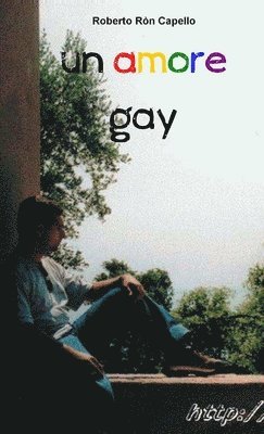 bokomslag Amore Gay