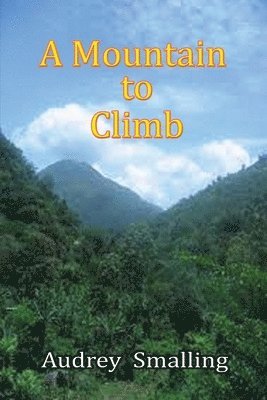 bokomslag Mountain to Climb