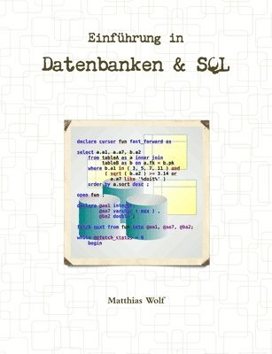 dip phys sci Matthias Wolf, Matthias Wolf - Einfuhrung in Datenbanken & SQL, Häftad