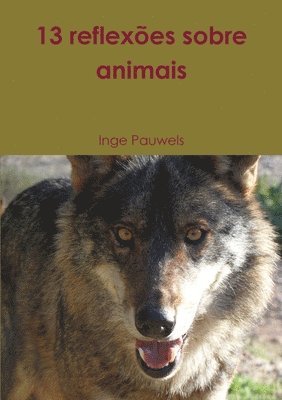 13 Reflexoes Sobre Animais 1