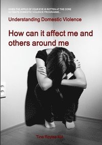 bokomslag Understanding Domestic Violence