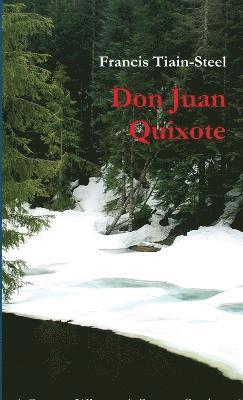 bokomslag Don Juan Quixote