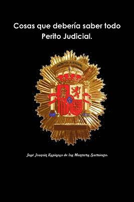 bokomslag Cosas Que Deberia Saber Todo Perito Judicial.