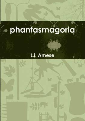 bokomslag Phantasmagoria