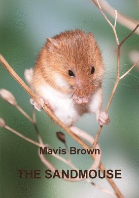 Mavis Brown - Sandmouse, Häftad