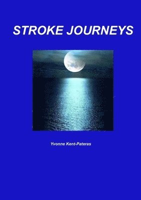 bokomslag Stroke Journeys