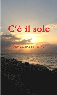 bokomslag C'e Il Sole