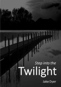 bokomslag Step into the Twilight