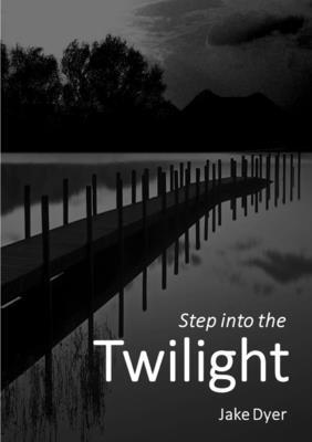 bokomslag Step into the Twilight