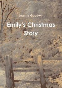 bokomslag Emily's Christmas Story