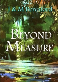 bokomslag Beyond Measure