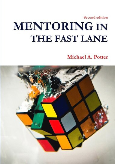 bokomslag Mentoring In the Fast Lane