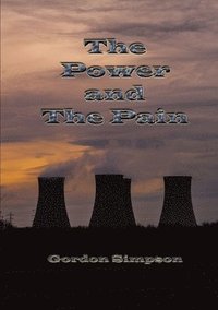 bokomslag Power and the Pain