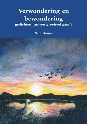 bokomslag Verwondering en bewondering