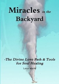 bokomslag Miracles in the Backyard - The Divine Love Path & Tools for Soul Healing