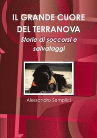 bokomslag Grande Cuore Del Terranova