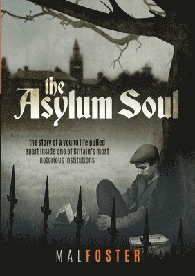bokomslag Asylum Soul