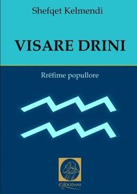 bokomslag Visare Drini
