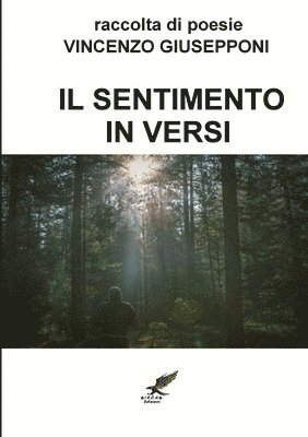 bokomslag Il Sentimento in Versi