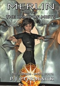 bokomslag Merlin and the Land of Mists Book Four: the Druids