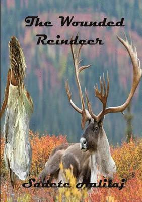bokomslag Wounded Reindeer