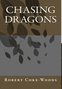 bokomslag Chasing Dragons