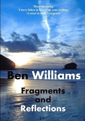 Ben Williams - Fragments and Reflections, Häftad