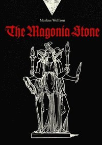 bokomslag The Magonia Stone