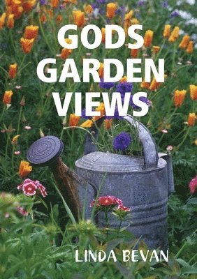 bokomslag Gods Garden Views