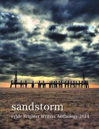 bokomslag Sandstorm