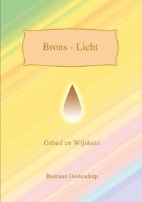 bokomslag Brons Licht