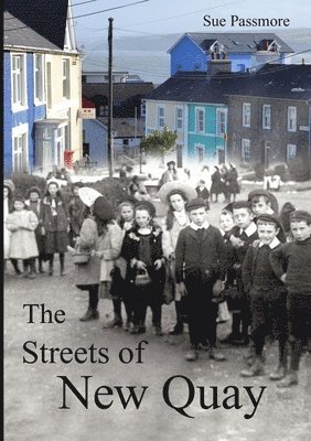 The Streets of New Quay 1