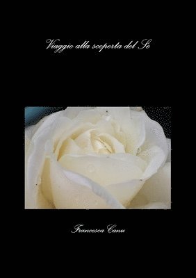 bokomslag Viaggio alla scoperta del Sè