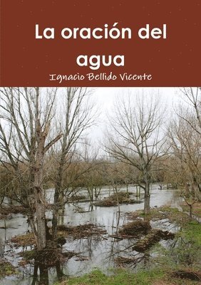 Ignacio Bellido Vicente - Oracion Del Agua, Häftad