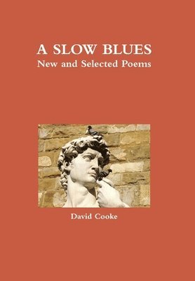 David Cooke - Slow Blues HB, Inbunden