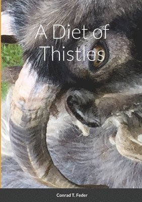 bokomslag Diet of Thistles