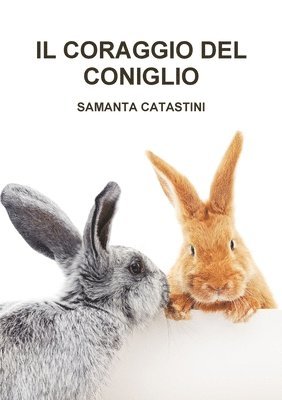Coraggio Del Coniglio