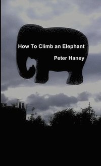 bokomslag How to Climb an Elephant