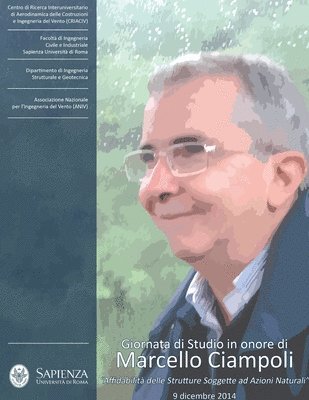Aa VV, AA VV, Aa Vv - Giornata di studio in onore di Marcello Ciampoli - "Affidabilità delle Strutture Soggette ad Azioni Naturali", Häftad