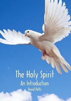 bokomslag The Holy Spirit, an Introduction