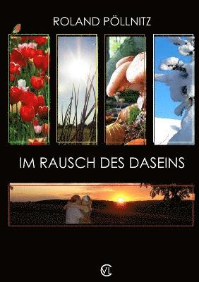 bokomslag Im Rausch Des Daseins