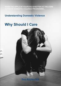 bokomslag Understanding Domestic Violence