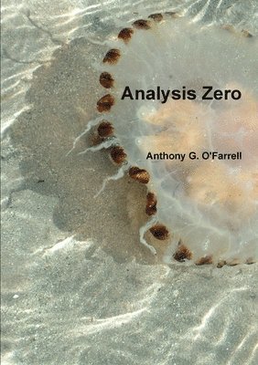 Analysis Zero 1