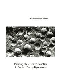 bokomslag Relating Structure to Function in Sodium Pump Liposomes