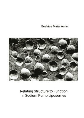 bokomslag Relating Structure to Function in Sodium Pump Liposomes