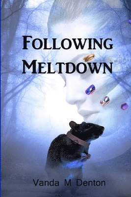 Following Meltdown 1