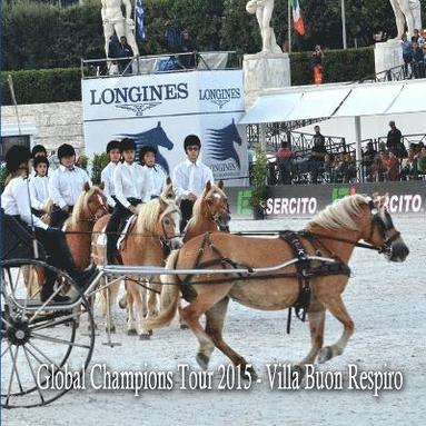 bokomslag Lgct 2015