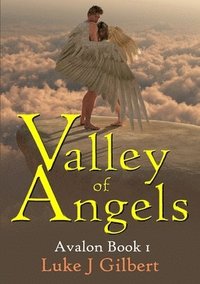 bokomslag Valley of Angels: Avalon Book 1